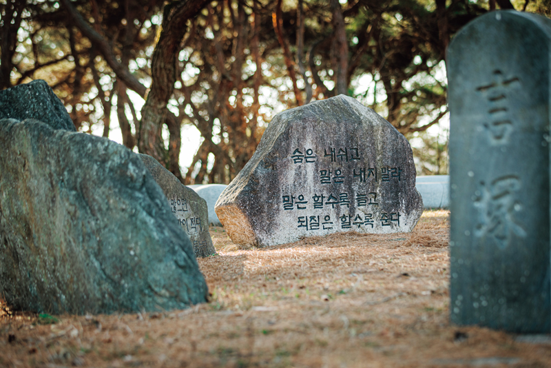 말(言)을 묻자는 것에서 시작된 말(言)무덤