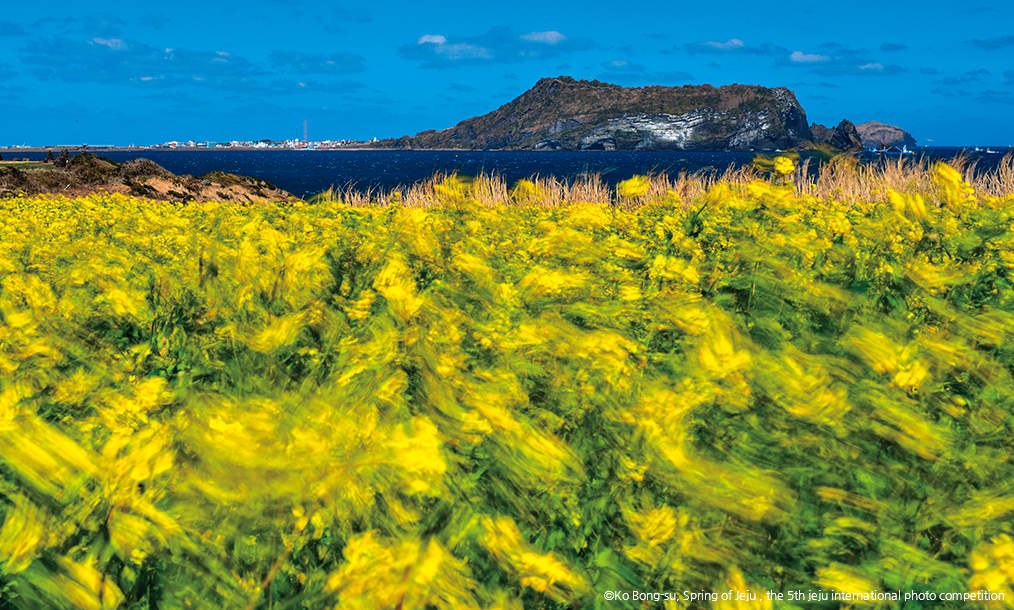 El viento, las rocas, y los suspiros del tiempo en el sur de Jeju