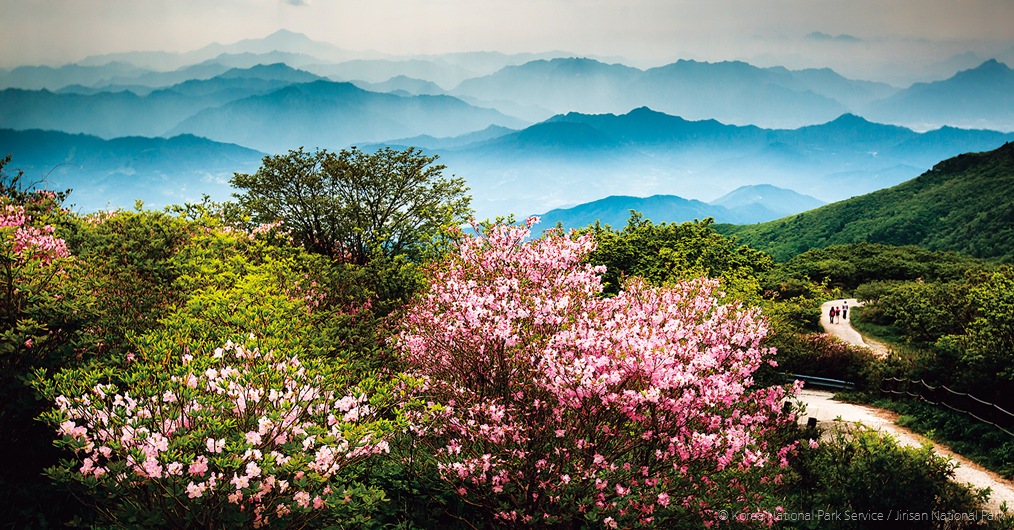 함양 산청 봄 산 냄새 가득한 옛 선비들의 <font color='red'>마을</font>