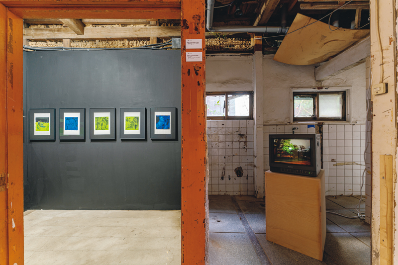 Die vielfältigen Ausstellungsräume von Seochon