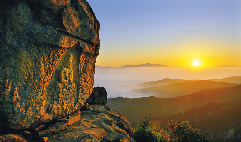 Embracing Nature’s Blessings