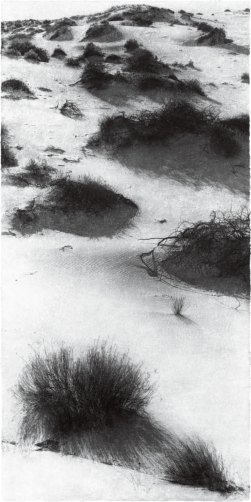 Hanji: A Language of Art