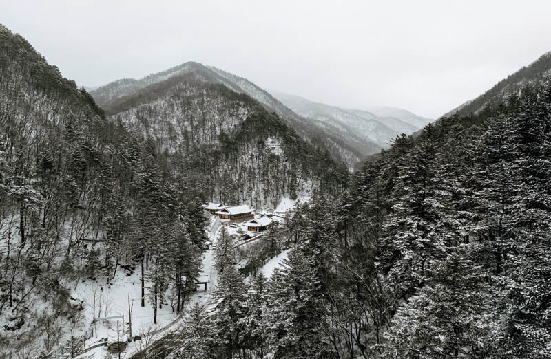 Quand se remet à battre le cœur d’une ancienne ville minière